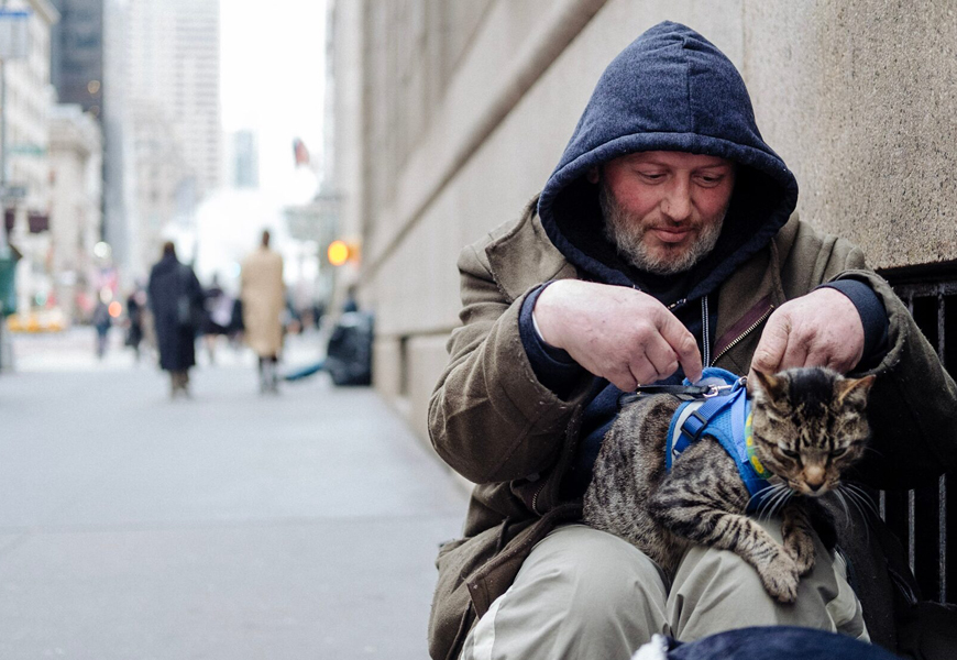 'Cat Daddies' Documentary A Celebration Of Cats And The Men Who Love Them